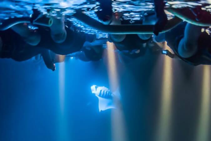 Esnórquel Nocturno con Mantarraya en Hawai