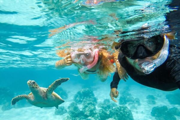 Snorkel con Tortugas en Hawai